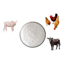 Natural Factory Supply Animal Material Fenbendazole Price
