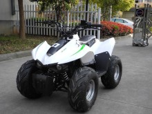 Kids gas powered mini ATV 50CC