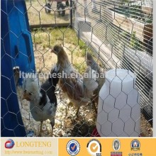 galvanized hexagonal wire mesh/chiken wire mesh/hexagonal wire