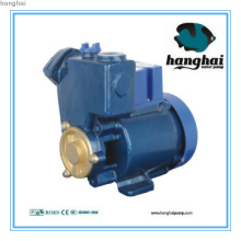 Self-sucking Peripheral Pump