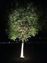 Waterproof Hug Tree garden Light