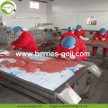 Hot Sale Factory Supply Dried Malaysia Goji Berry