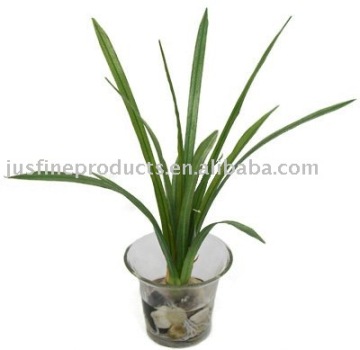 Silk Plant ( 11" Artificial Grass with Acrylic Water in Glass Cup )