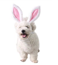 Spring Easter Party Decorations: Baskets, Bunnies, Headbands, Plushes, and More