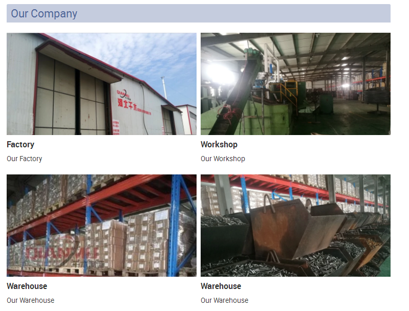 Electro Galvanized Wood Screw DIN571 good quality and best price  handan factory