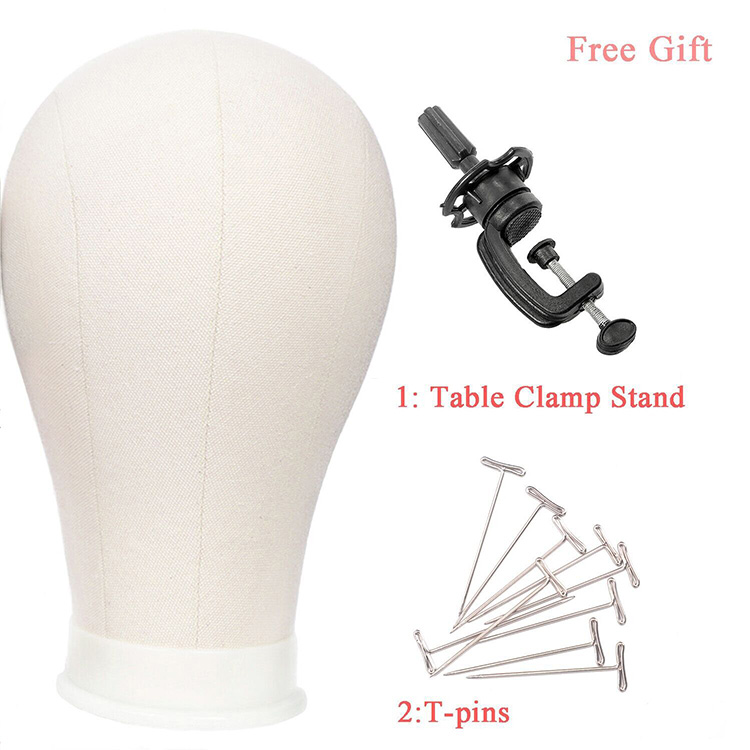 Aisi Hair Professional Poly Canvas Block Mannequin Head for Wig Making Displaying Drying Free Gifts
