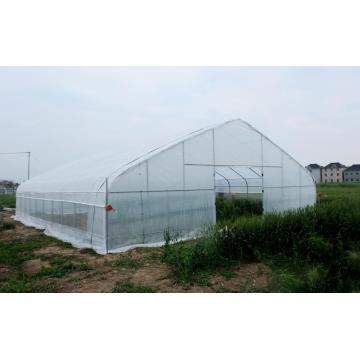 Agricultural Single Span Plastic Tunnel Greenhouse