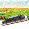 ETL-geprüftes lm561c / 301b LED Grow Light