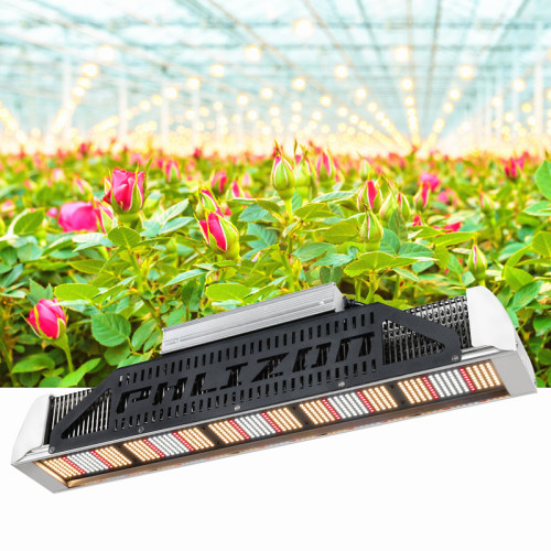 Luzes LED de alto desempenho para cultivo de plantas internas