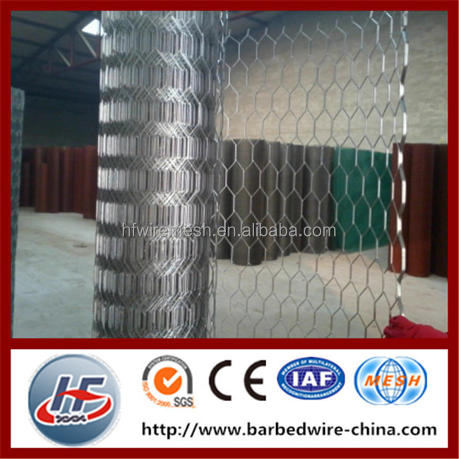 hexagon wire netting,chicken mesh,electro galvanized after weaving hexagonal wire netting