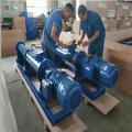 Sanitary Hygienic Single Screw Pump