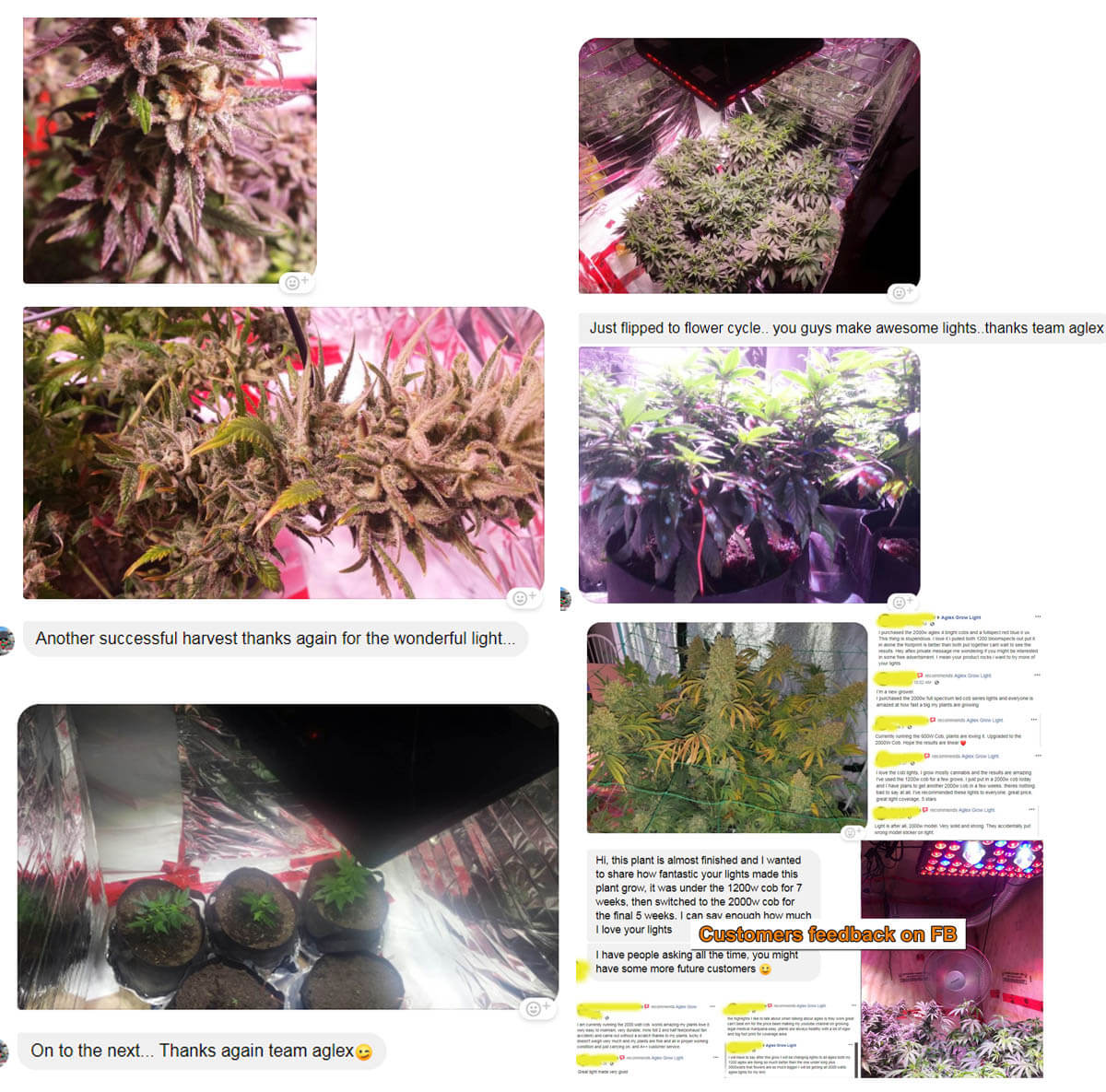 AGLEX TUMBUH CAHAYA AGLEX GROW LIGHT