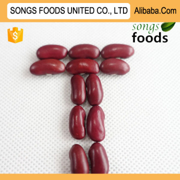 Dark Red Kidney Beans Specification New Crop