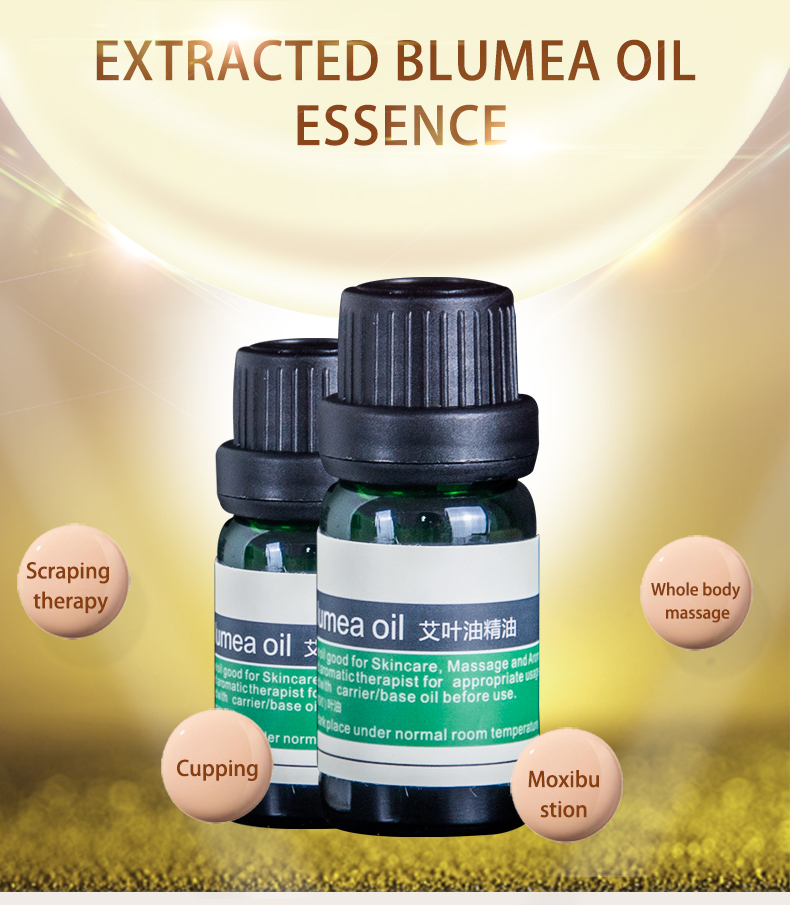 Blumea Oil