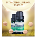 Olio essenziale di Blumea 100% olio essenziale di grado terapeutico