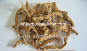 radix polygonati officinalis/Fragrant Solomonseal Rhizome/Yu Zhu