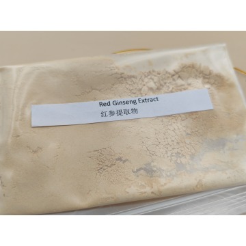 Ekstrak ginseng merah