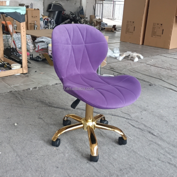 Beauty Salon Master Stool