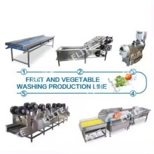 Customised Fruit and Vegetable Processing and Washing Lines