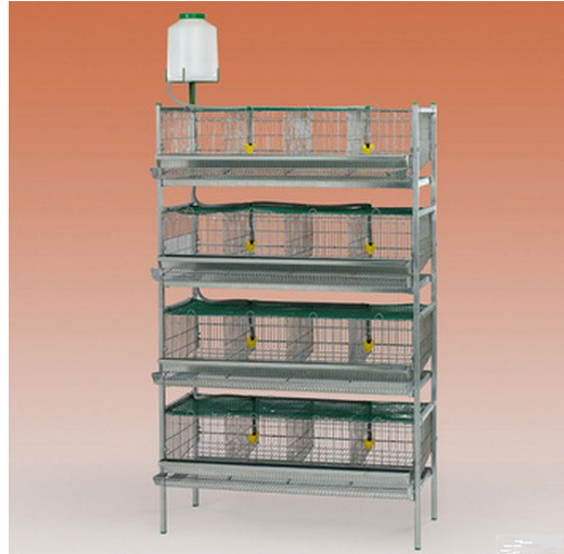 factory design layer quail cages for sale