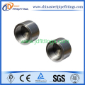 Pipa Stainless Steel Fitting pipa Coupling