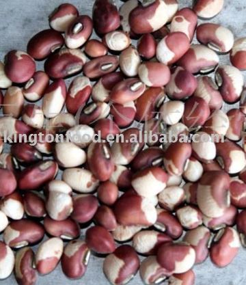 Speckled cowpea