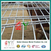 Qym-High Quality Double Circles Wire Fence with Lower Price