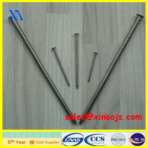 common nails with all sizes/common polish iron nail/long common nail