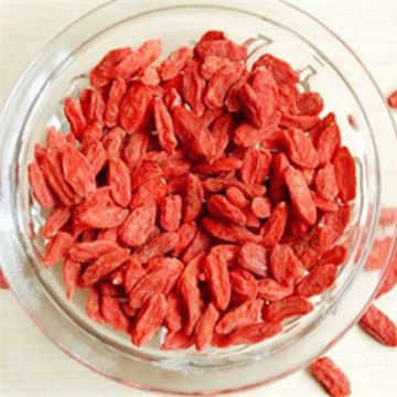 Nutrition Dried Goji Berry