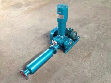 Roots Blowers for Wastewater Treatment