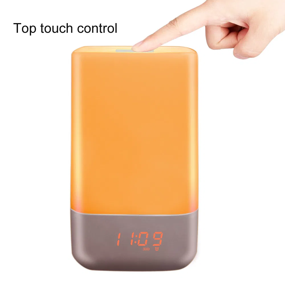 Sunrise Simulation Alarm Clock with LED Night Light