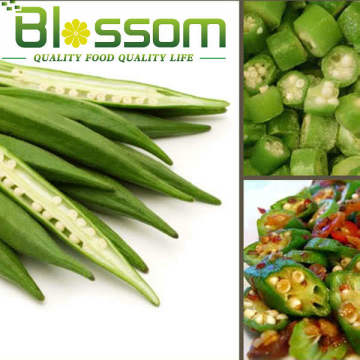 New crop whole IQF frozen okra