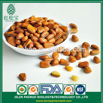 Provider Convenience Food Sweets Siberian Open Pine Nuts in Shell