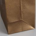 Packaging Bags Gold Shopping Paper Bag Custom Logo