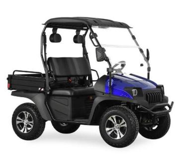 HOT BLUE UTV Electric With EEC