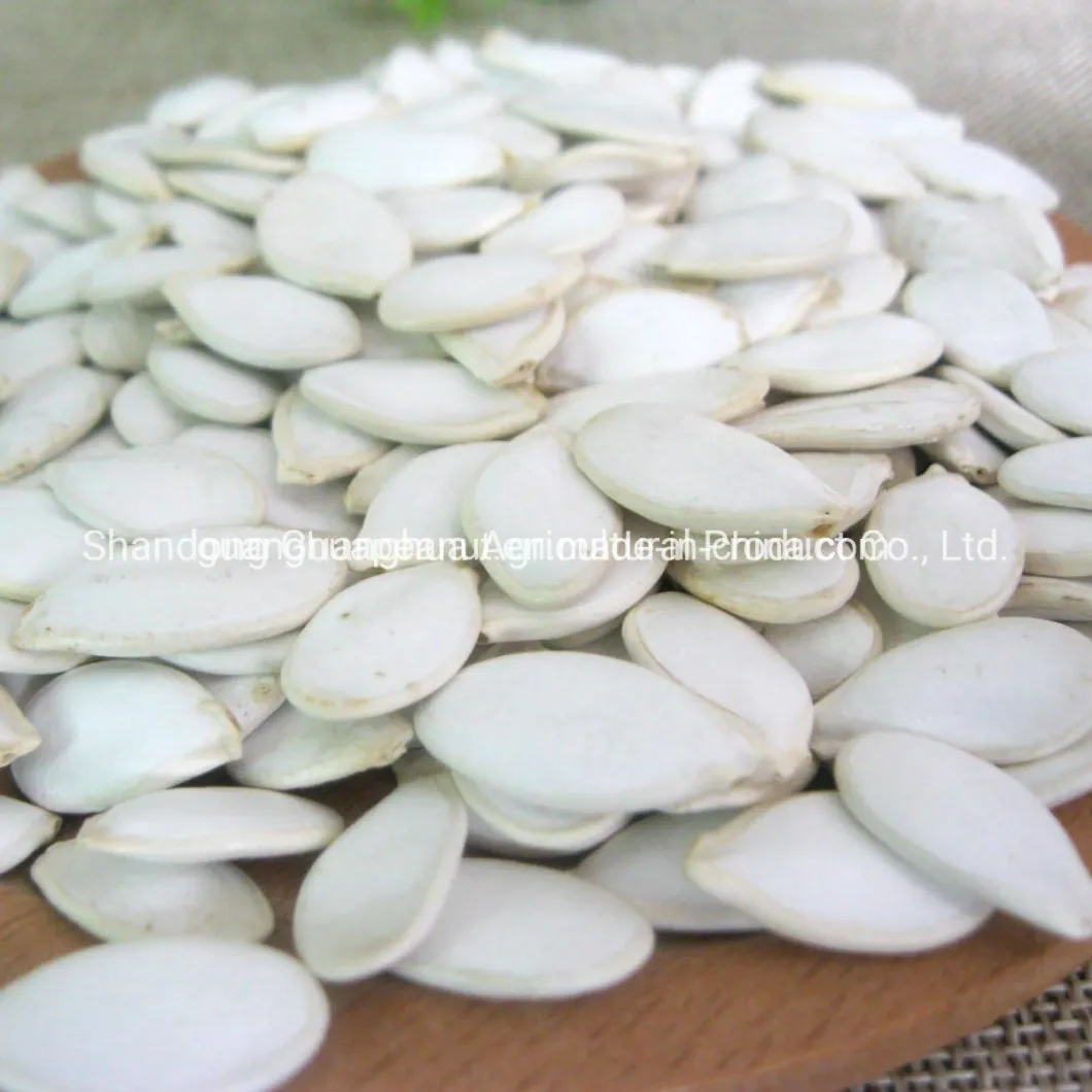 AAA Snow White Pumpkin Seeds with High Quality