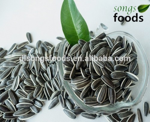 Sun Flower Seeds 5009