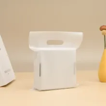 Custom Moisture-Proof Frosted PE Plastic Bags