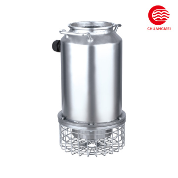 Submersible Flood Control Pump