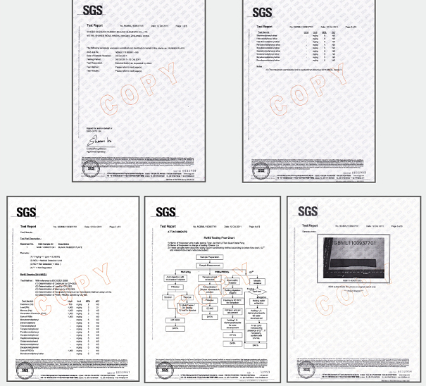 SGS Approval Car Window Seal