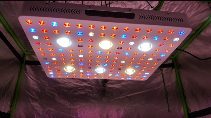 3000w Cob Grow Light