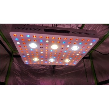 COB LED Grow Lights para invernadero Phlizon