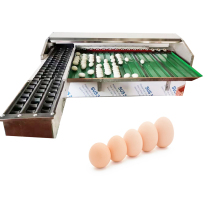 Hot Sale Automatic Egg Size Weight Packing and Grading Machine