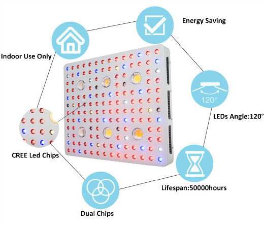 Led Cob Plant Light