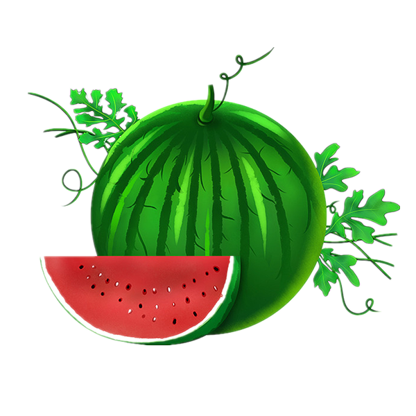 Bio -Nahrungsmittel -Wassermelonensamenöl