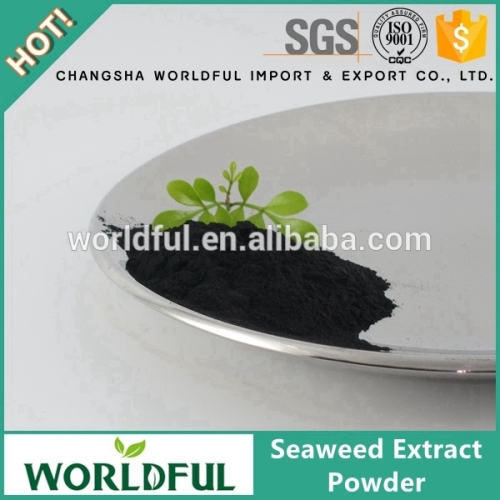 Black powder seaweed extract organic fertilizer soluble seaweed extract powder