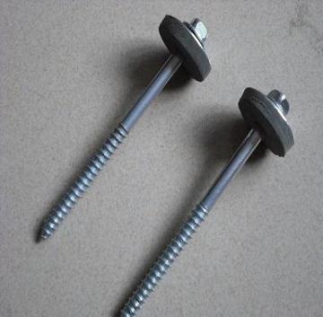 common nails, roofing nails, finishing nails, shoes nails, concrete nails