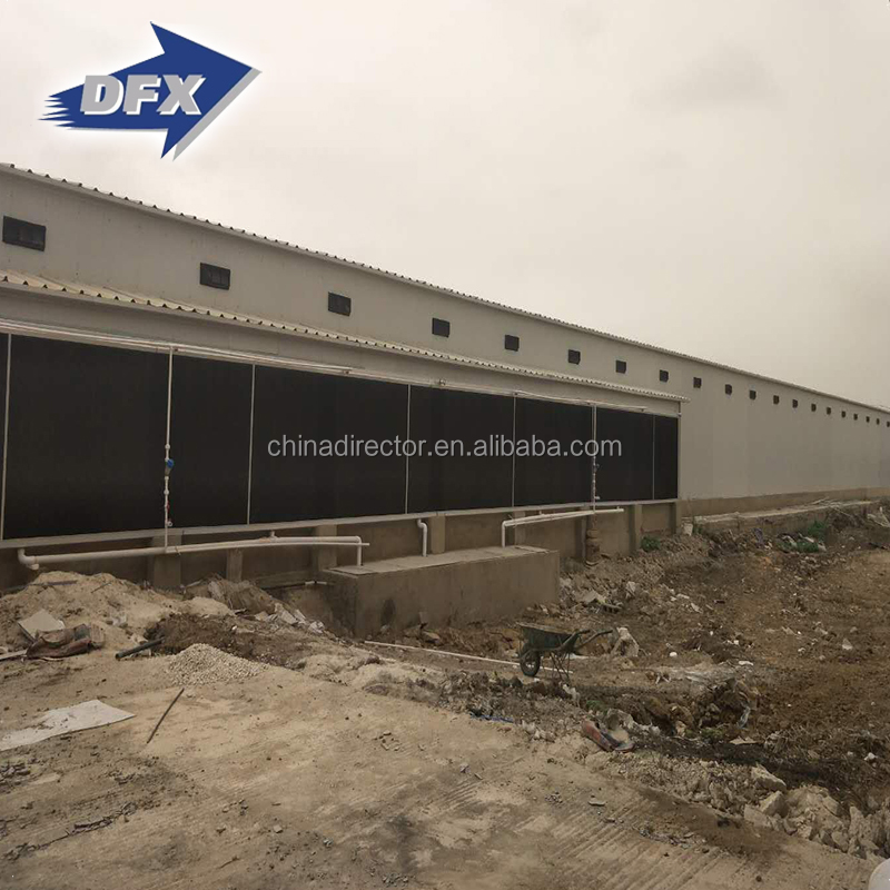 China low cost prefabricated mechanized steel structure poultry farm shed farming house for Philippines