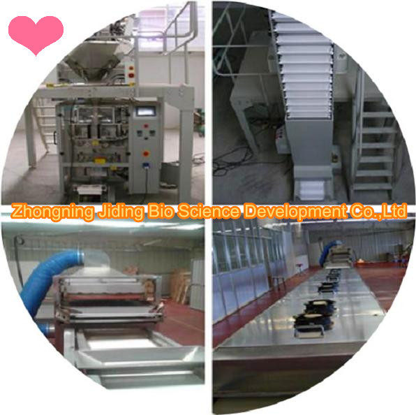 Goji berry process equipment