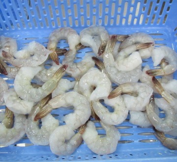 Frozen vannamei shrimp PDTO
